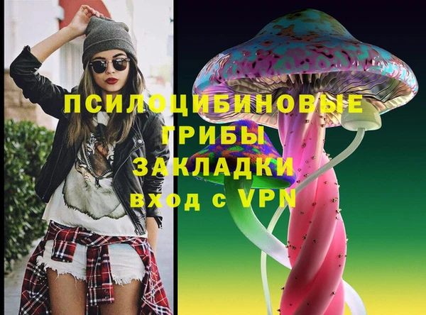 apvp Нязепетровск