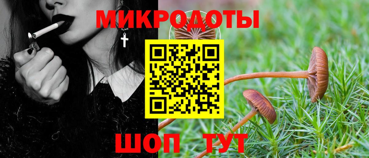 Псилоцибиновые грибы мицелий Саки