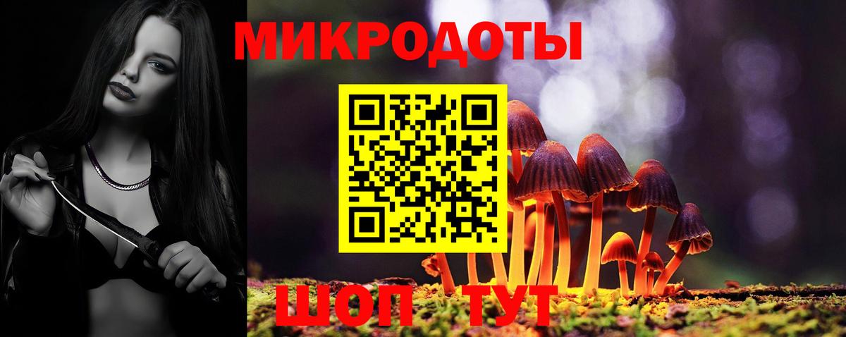 А ПВП Саки