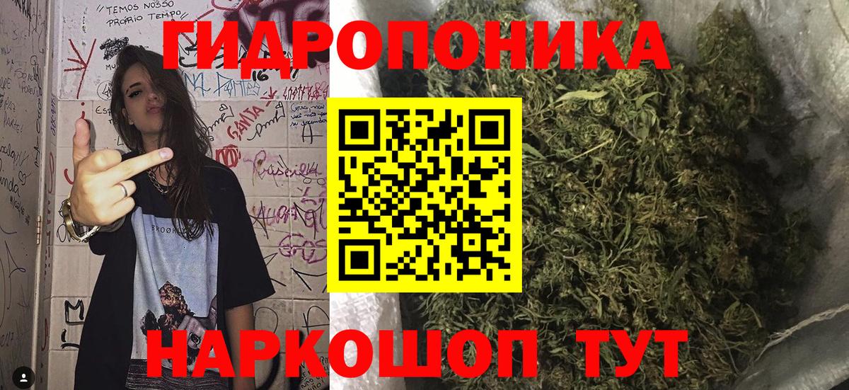 Марихуана сатива  Конопля ГИДРОПОН  Саки  Вход с VPN 